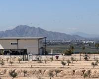 Resale - Building Plot - San Fulgencio - La Marina