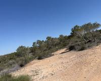 Resale - Building Plot - San Fulgencio - La Marina