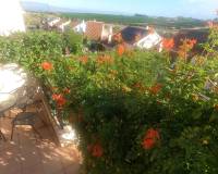 Resale - Bungalow - Algorfa - La Finca Golf