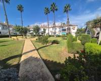 Resale - Bungalow - Torrevieja - Lago jardin