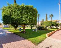 Resale - Bungalow - Torrevieja - Parque las naciones