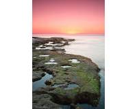 Resale - Bungalow - Torrevieja - Torrejón