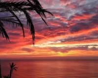 Resale - Bungalow - Torrevieja - Torrejón