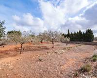 Resale - Finca - Country Property - Benissa - Partida Canor