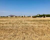 Resale - Finca - Country Property - Catral