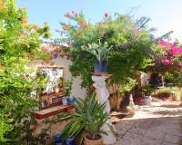 Resale - Finca - Country Property - Catral