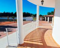 Resale - Finca - Country Property - Catral