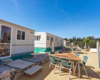 Resale - Finca - Country Property - Los Montesinos