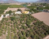 Resale - Finca - Country Property - Orihuela Costa - Orihuela