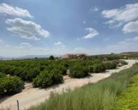 Resale - Finca - Country Property - Orihuela Costa - Orihuela