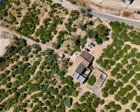Resale - Finca - Country Property - Orihuela Costa - Orihuela