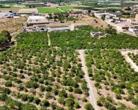 Resale - Finca - Country Property - Orihuela Costa - Orihuela