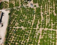 Resale - Finca - Country Property - Orihuela Costa - Orihuela