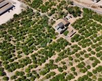 Resale - Finca - Country Property - Orihuela Costa - Orihuela