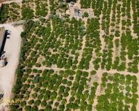 Resale - Finca - Country Property - Orihuela Costa - Orihuela