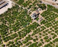 Resale - Finca - Country Property - Orihuela Costa - Orihuela