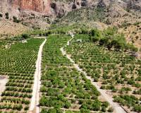Resale - Finca - Country Property - Orihuela Costa - Orihuela