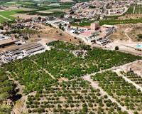 Resale - Finca - Country Property - Orihuela Costa - Orihuela