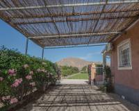 Resale - Finca - Country Property - Orihuela Costa - San Bartolome