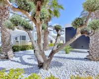 Resale - Penthouse - Orihuela Costa - Punta Prima