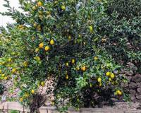 Resale - Villa - Benissa - Fanadix