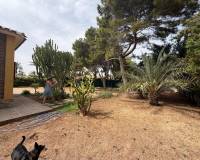 Resale - Villa - Cabo Roig - Orihuela Costa