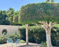 Resale - Villa - Ciudad Quesada - Ciudad Quesada - Doña Pepa