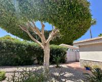 Resale - Villa - Ciudad Quesada - Ciudad Quesada - Doña Pepa
