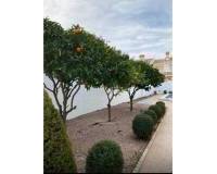 Resale - Villa - Ciudad Quesada - Lo Marabu