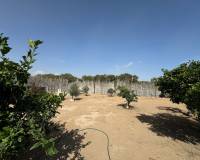 Resale - Villa - Guardamar Del Segura - Beach Guardamar