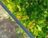 Resale - Villa - Moraira - Benimeit