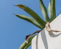 Resale - Villa - Moraira - Portet