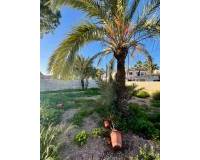 Resale - Villa - Torrevieja - Aguas Nuevas