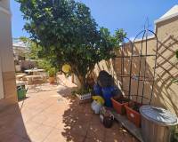 Resale - Villa - Torrevieja - Torre La Mata