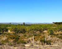 Venta - Adosado - Guardamar Del Segura - El Moncayo