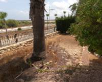 Venta - Apartment - Algorfa