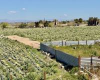 Venta - Apartment - Daya Nueva