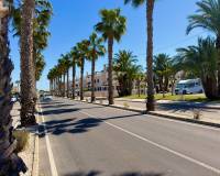 Venta - Apartment - Daya Nueva