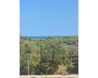 Venta - Apartment - Guardamar Del Segura - Avda del Puerto