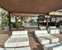 Venta - Apartment - Guardamar Del Segura - ELS SECONS