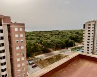 Venta - Apartment - Guardamar Del Segura - Guardamar del Segura