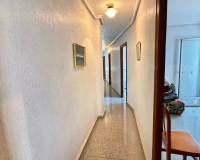 Venta - Apartment - Guardamar Del Segura - Guardamar