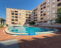 Venta - Apartment - Guardamar Del Segura - Guardamar