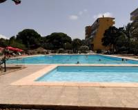 Venta - Apartment - Guardamar Del Segura - Pinomar
