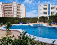 Venta - Apartment - Guardamar Del Segura - SUP-7 & PUERTO