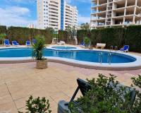 Venta - Apartment - Guardamar Del Segura - SUP-7 & PUERTO