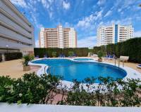 Venta - Apartment - Guardamar Del Segura - SUP-7 & PUERTO