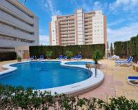 Venta - Apartment - Guardamar Del Segura - SUP-7 & PUERTO