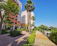 Venta - Apartment - Guardamar Del Segura - SUP-7 & PUERTO