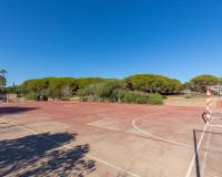 Venta - Apartment - Guardamar Del Segura - Urb. pinomar